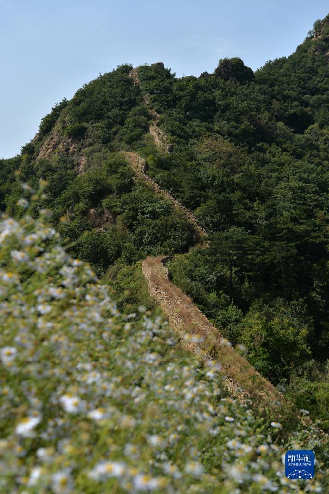 太阳集团